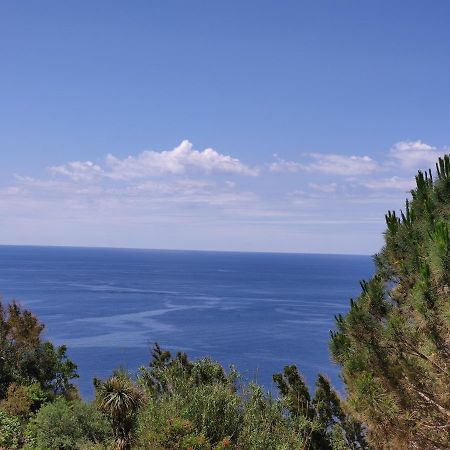 Appartamento Casa De Somma Forio di Ischia Esterno foto